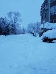 20190304_063440