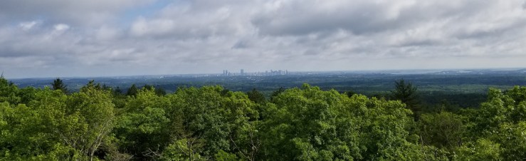 20190614_084741.jpg